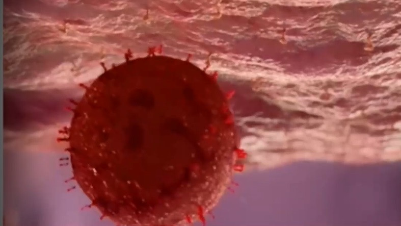 Проф. Аргирова:  "Малки взривове" и нови мутации на коронавируса