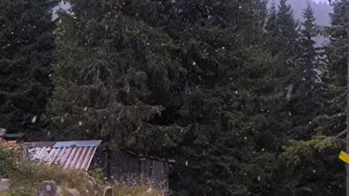 Сняг заваля в Родопите (Видео)