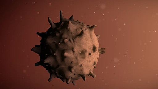 513 са новите случаи на коронавирус през изминалото денонощие, показват