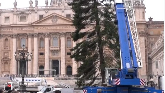 Скандал с коледното дърво на Ватикана