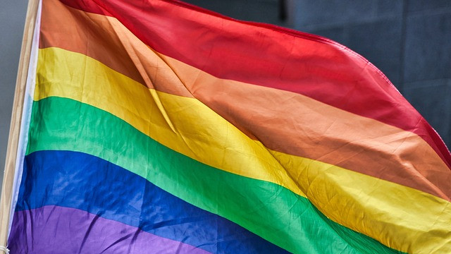 Русия прие закон за забрана на ЛГБТИ "пропагандата"