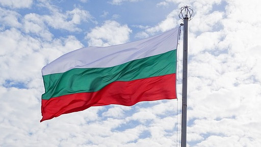Сабрутев: Половината от населението на България ще обеднее догодина