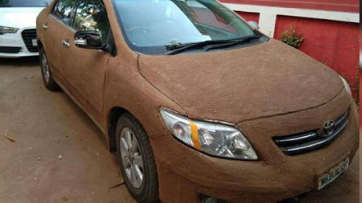Жена намазва колата си с кравешки фашкии, за да я охлажди без климатик