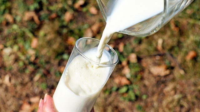 Млякото и млечните продукти достигнаха рекордни цени в търговската мрежа В