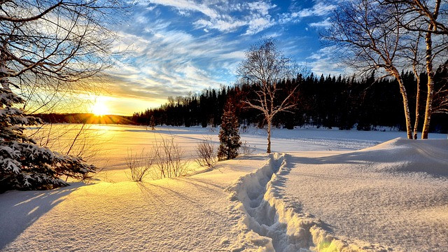 Рестарт на сезона – обилен сняг и много туристи в Пампорово и Чепеларе