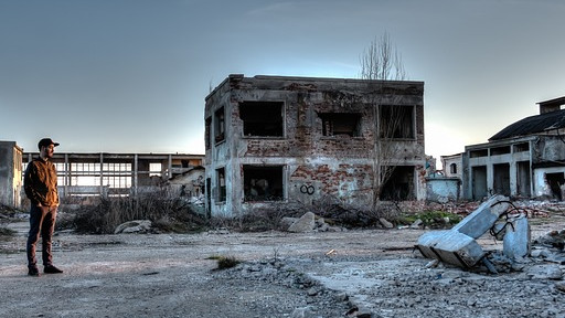 Защо учени проучват бездомните кучета в Чернобил?