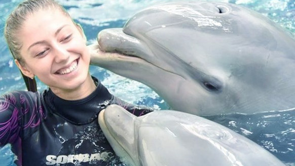 Делфинариум Варна връща плуването с делфини