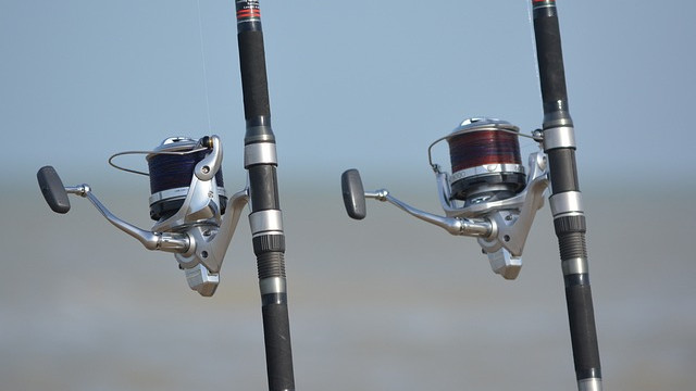 Какво кълве по родните водоеми?