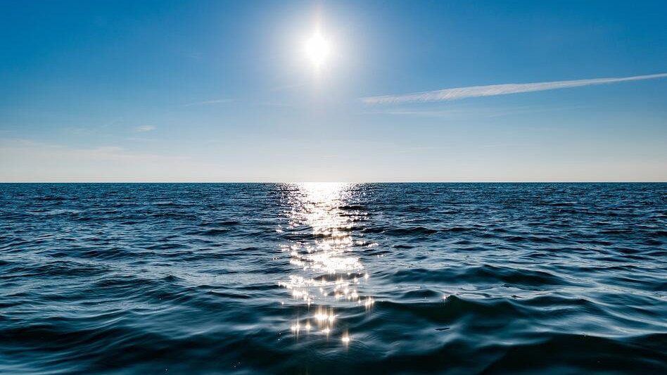 Микробиолог: Пробите на водата на Попския плаж показаха, че има еширихия коли