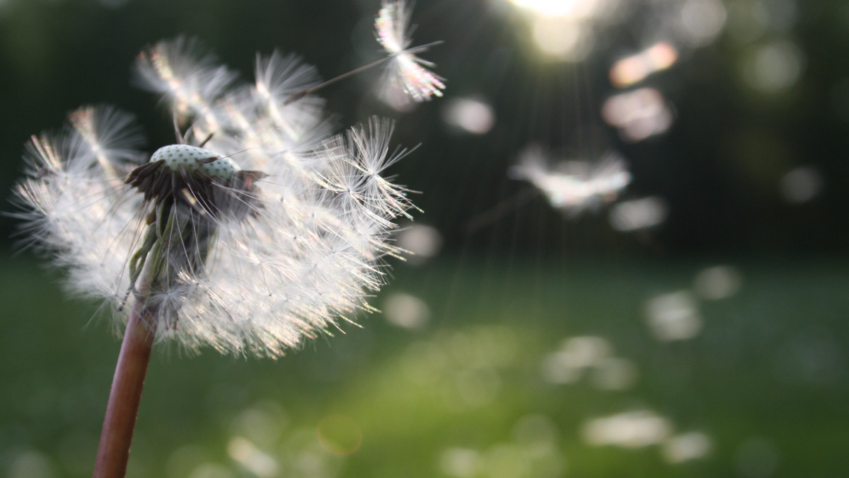 Времето се обръща до часове. Студът идва