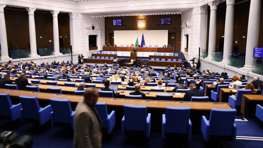 С ирония и обиди: Депутатите създадоха комисия за правата на психичноболните хора
