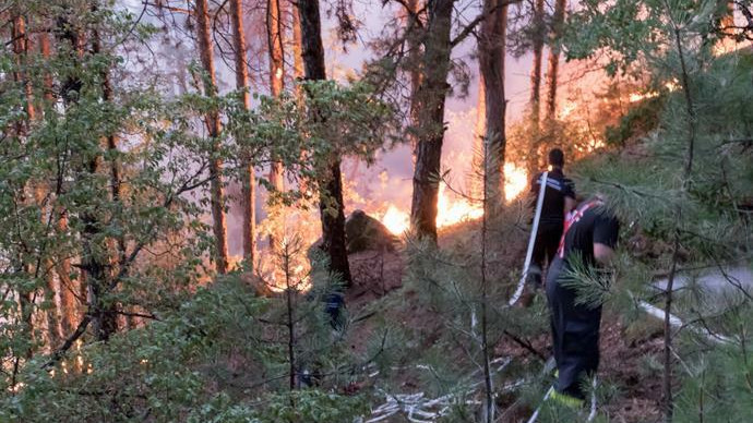 2022 г. е втората най-тежка година за горските пожари