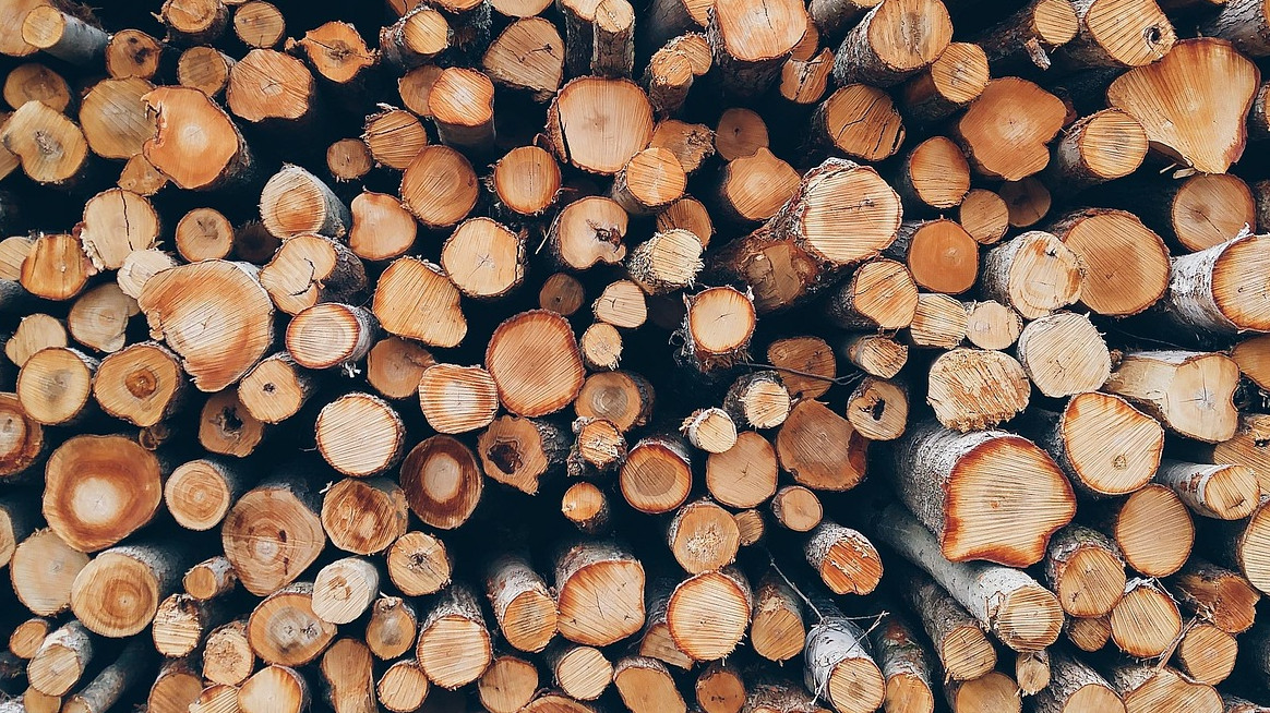 Наредбата за сечите в горите с нови правила