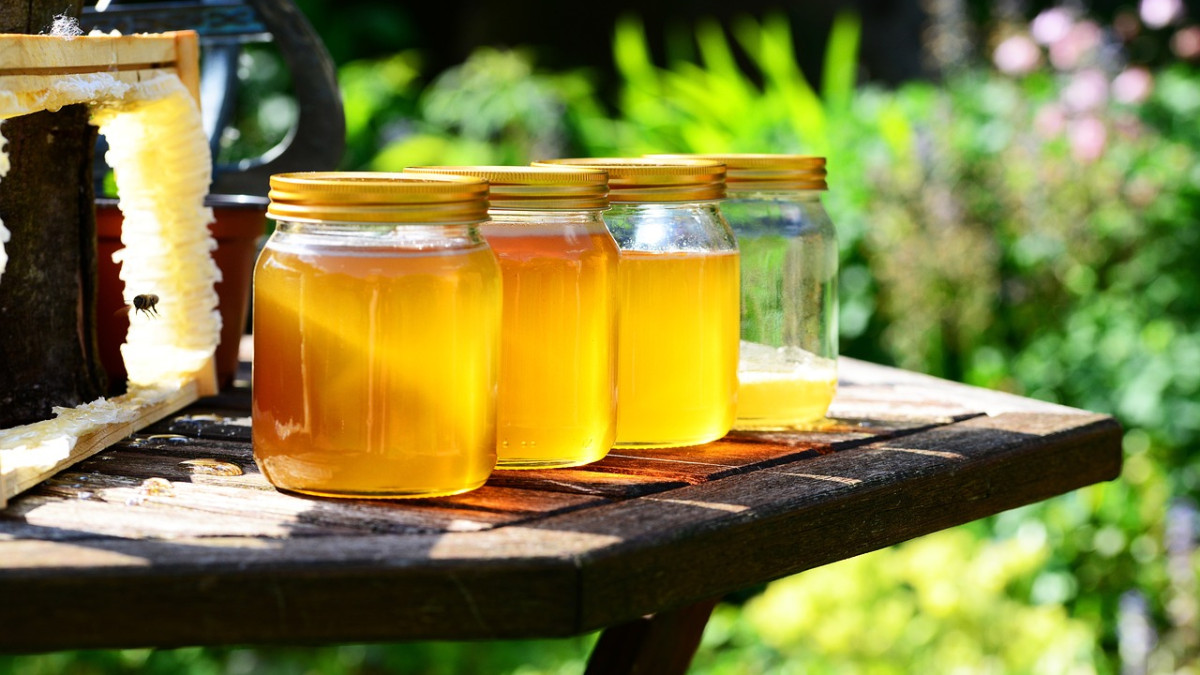 Учени откриха причини за намаляването на произвеждания от пчелите мед