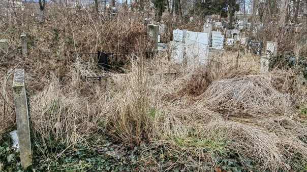 Нови правила за гробовете в София, сега едва 10% се поддържат от близките
