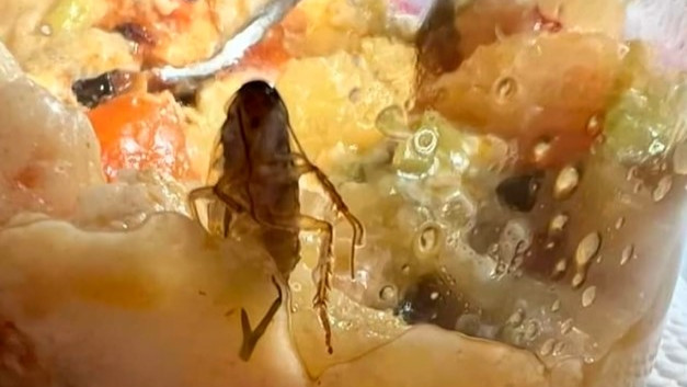 Майка откри хлебарка в храна от детска кухня в Монтана
