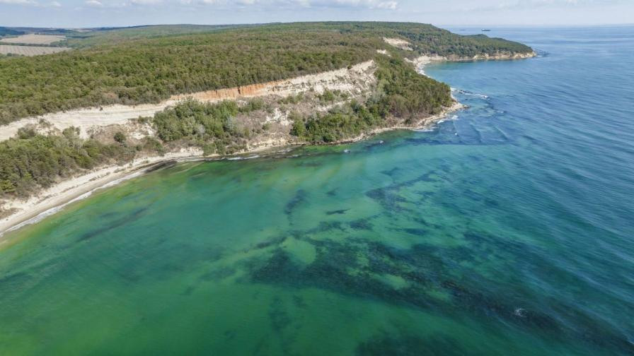 България, Румъния и Турция създават Противоминна военноморска група в Черно море