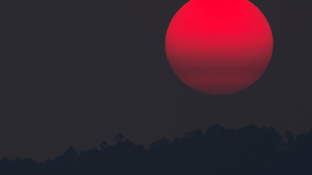 Наблюдаваме Червеева луна тази нощ