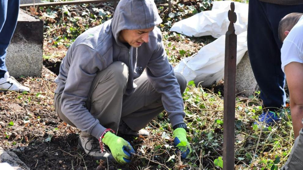 Доброволци разчистват Централните софийски гробища и засаждат люляк