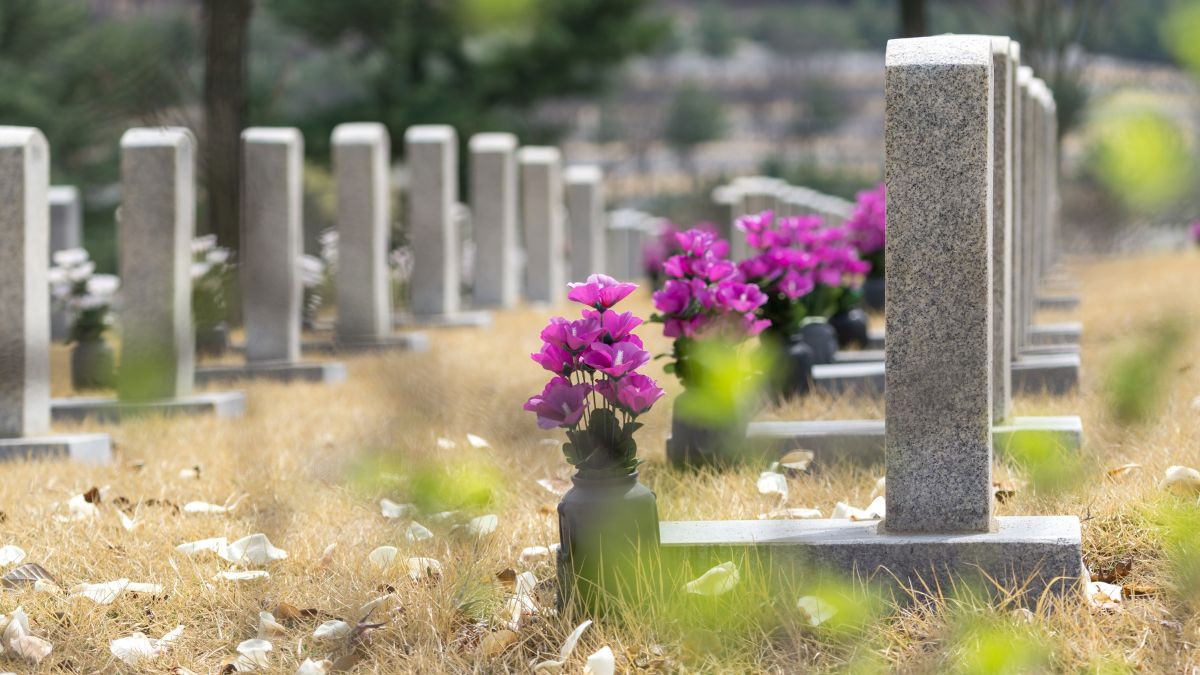 Има ли търговия с "кости, камъни и кръв" на софийските гробища