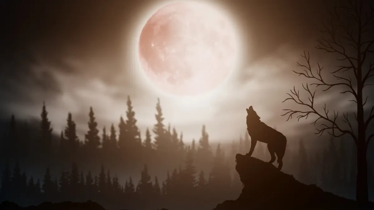 Вълче пълнолуние на 14 януари: Как ще се отрази на вашата зодия