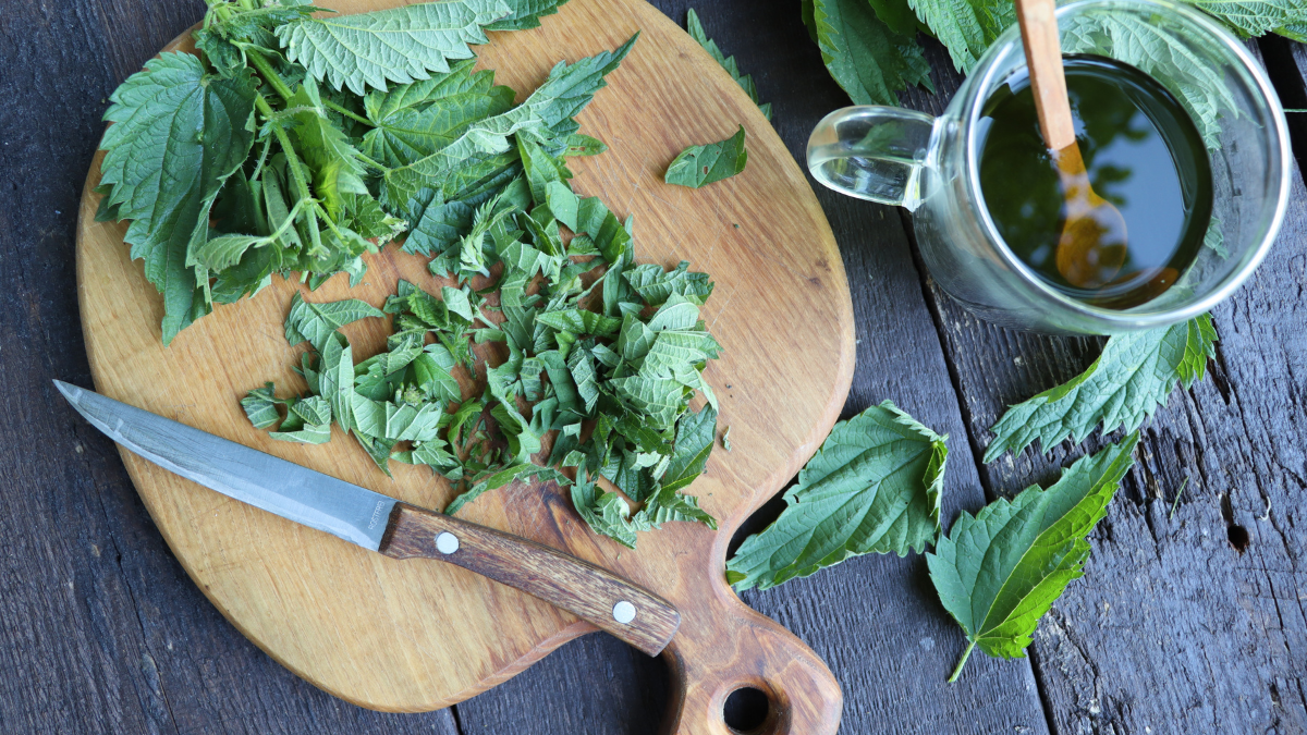 Време е за каша от коприва