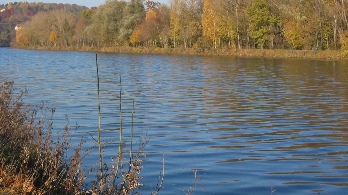 Нивото на река Дунав затруднява корабоплаването