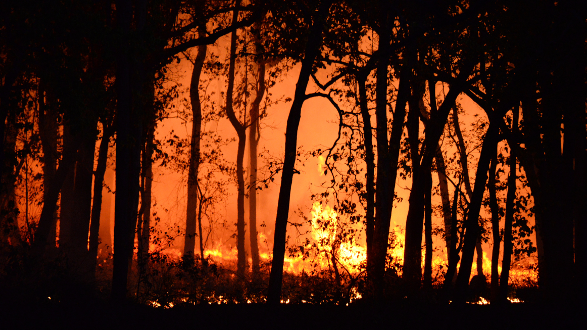 Продължава борбата с пожарите у нас
