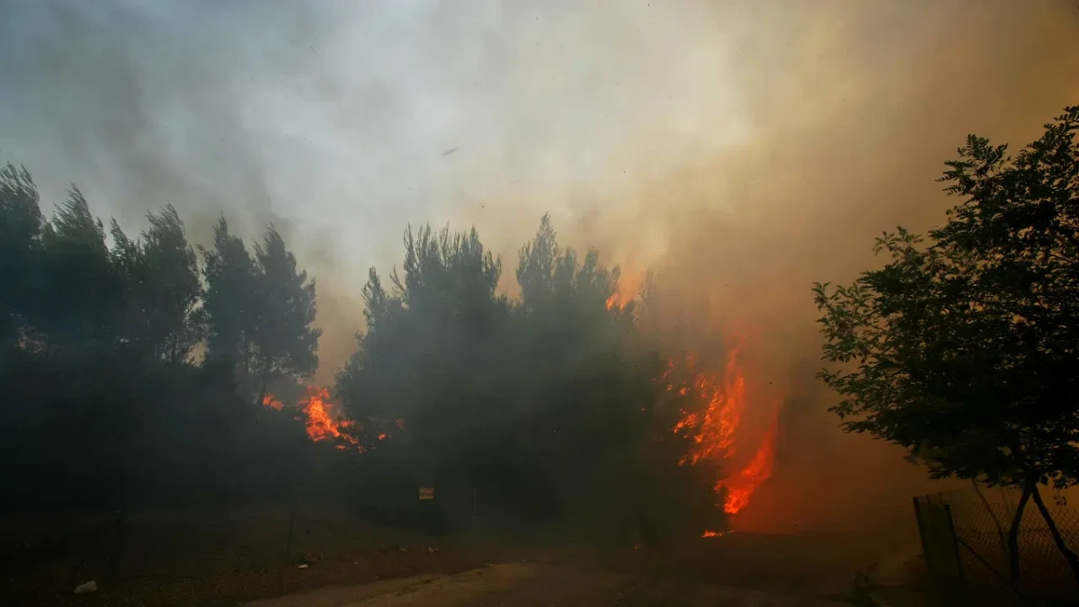 Ново огнище на пожара в НП "Рила"