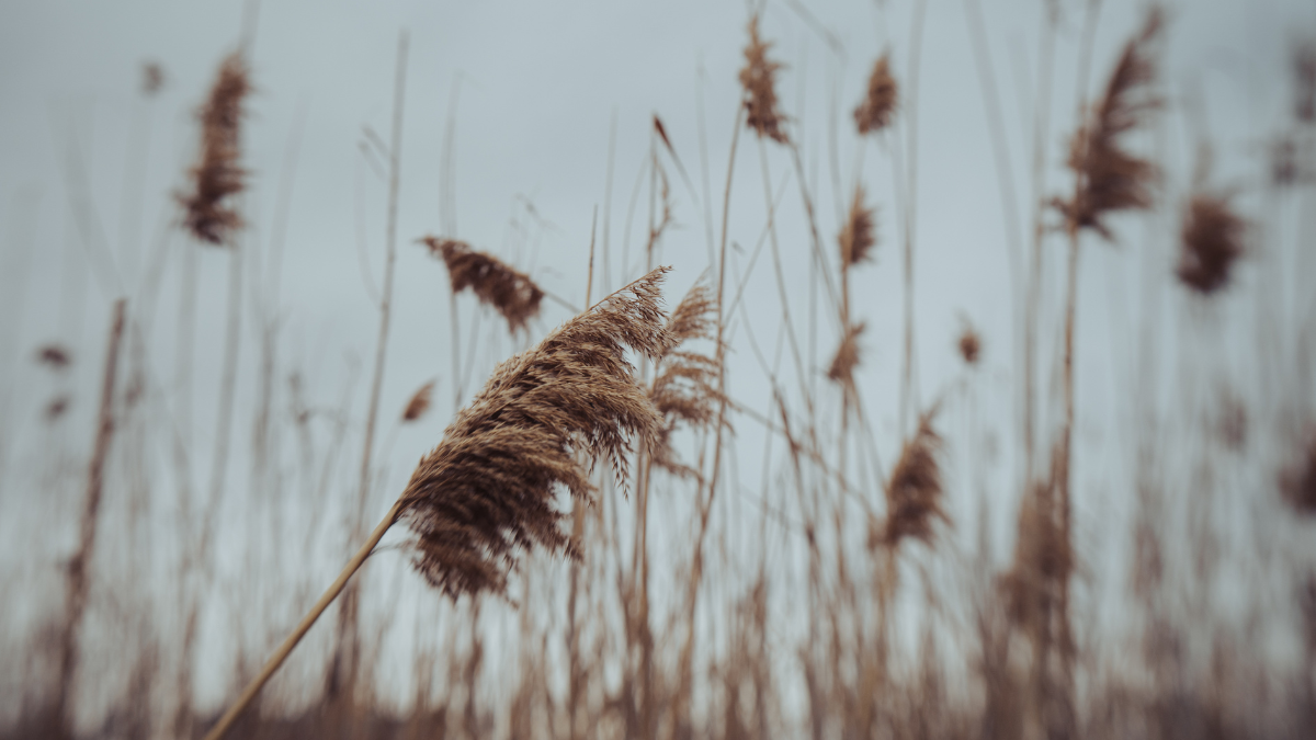 Жълт код за силен вятър в четвъртък: Предстои захлаждане в цялата страна