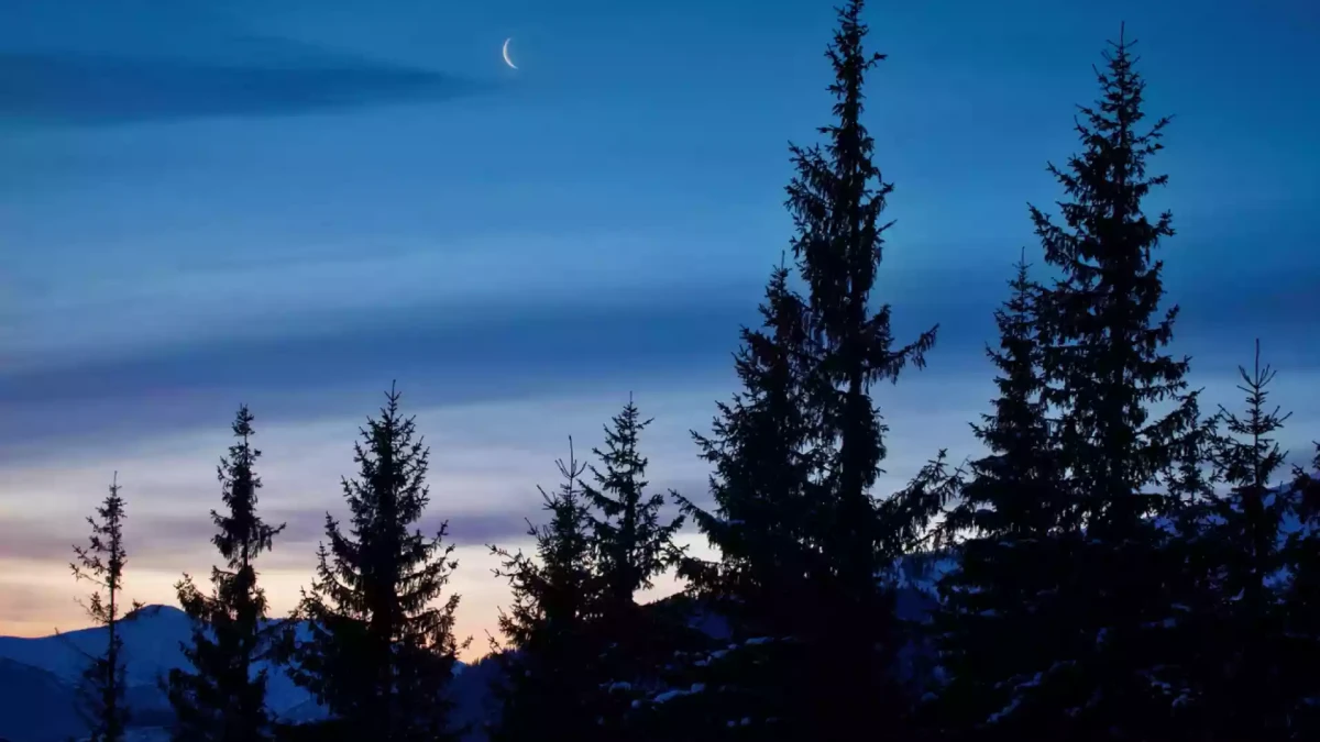 Новолуние в Скорпион на 20 ноември - какво ще донесе на всяка зодия?