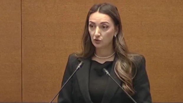 "Величие" настояват за оставката на омбудсмана и заместничката й