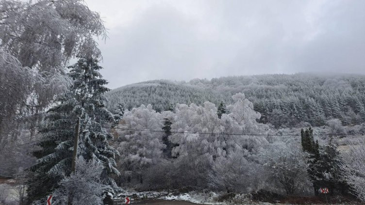 Мистерията "Петрохан": Поръчково убийство, паравоенна организация, връзки с Украйна?