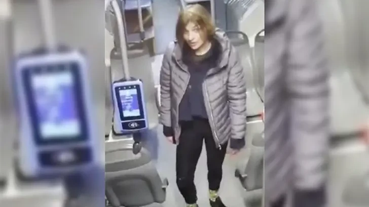 Пращат жената, наръгала четирима германци, в психиатрията в Ловеч