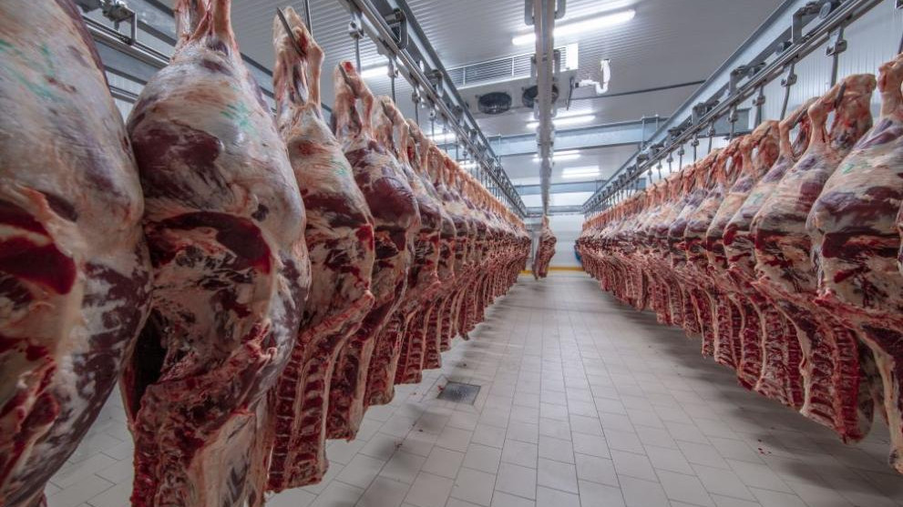 Акция „Чиста храна“: Представяте данни за незаконните кланици в Хасково и Кърджали