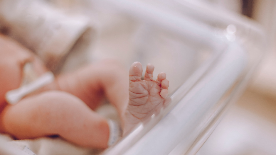 Търси се общ дом на две здрави бебета: Близнаци живеят 9 месеца в столична болница