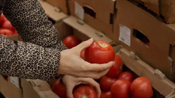 БАБХ блокира над 370 тона опасни храни на границата