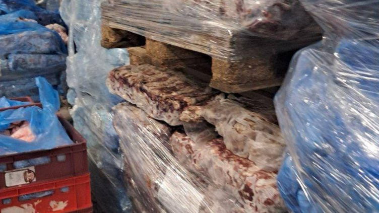 БАБХ откри тонове свински глави и месо в хладилни камери с плесен и ръжда