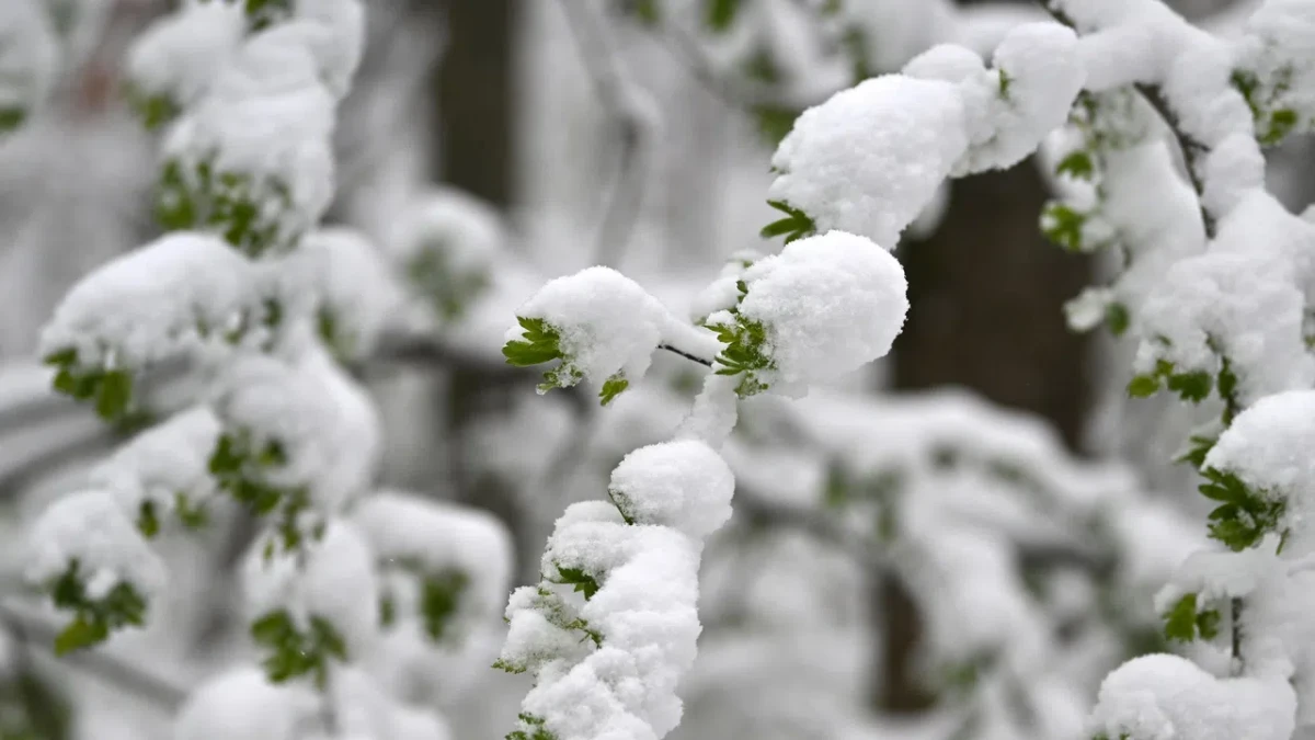 Румъния посреща Великден със студ и сняг