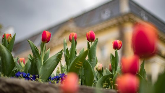Студ или слънце: Какво време ни очаква около Великден