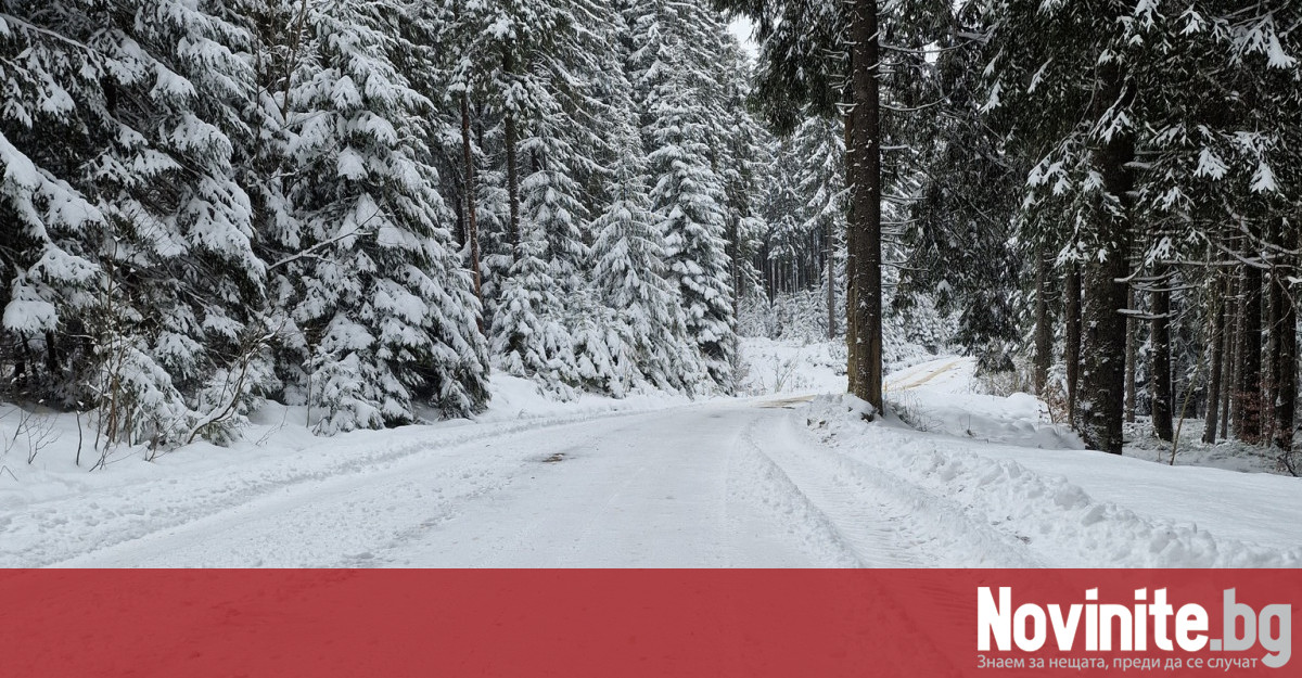 Осем национални пътя в Румъния остават затворени заради обилен сняг