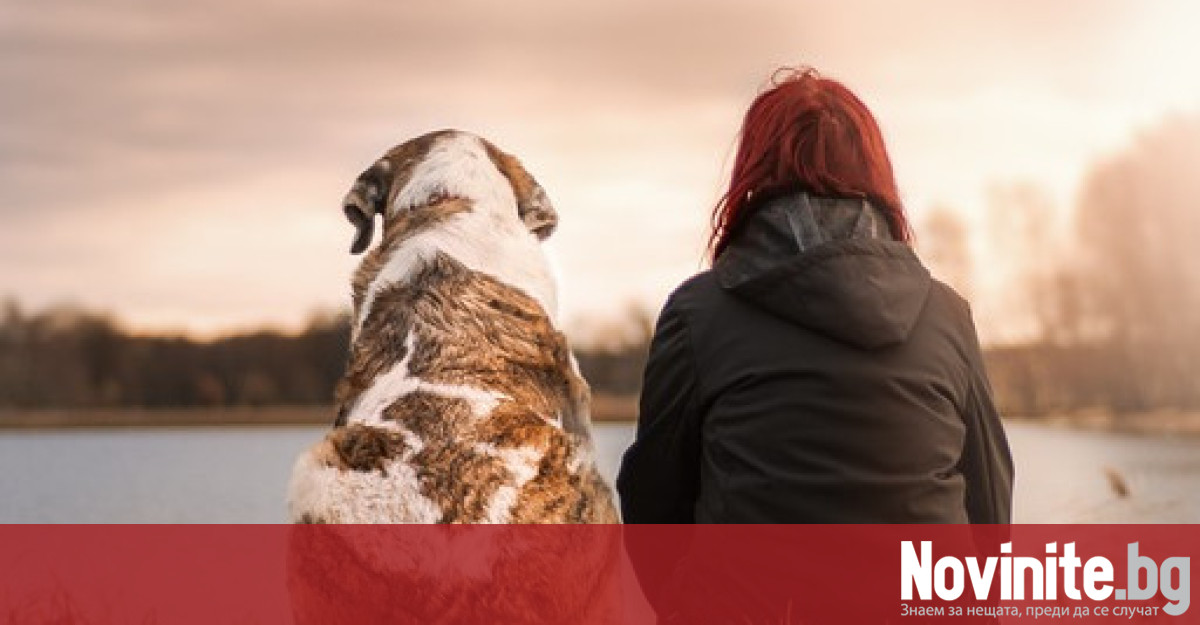 Започва безплатна кастрация на домашни кучета в Стара Загора Тя