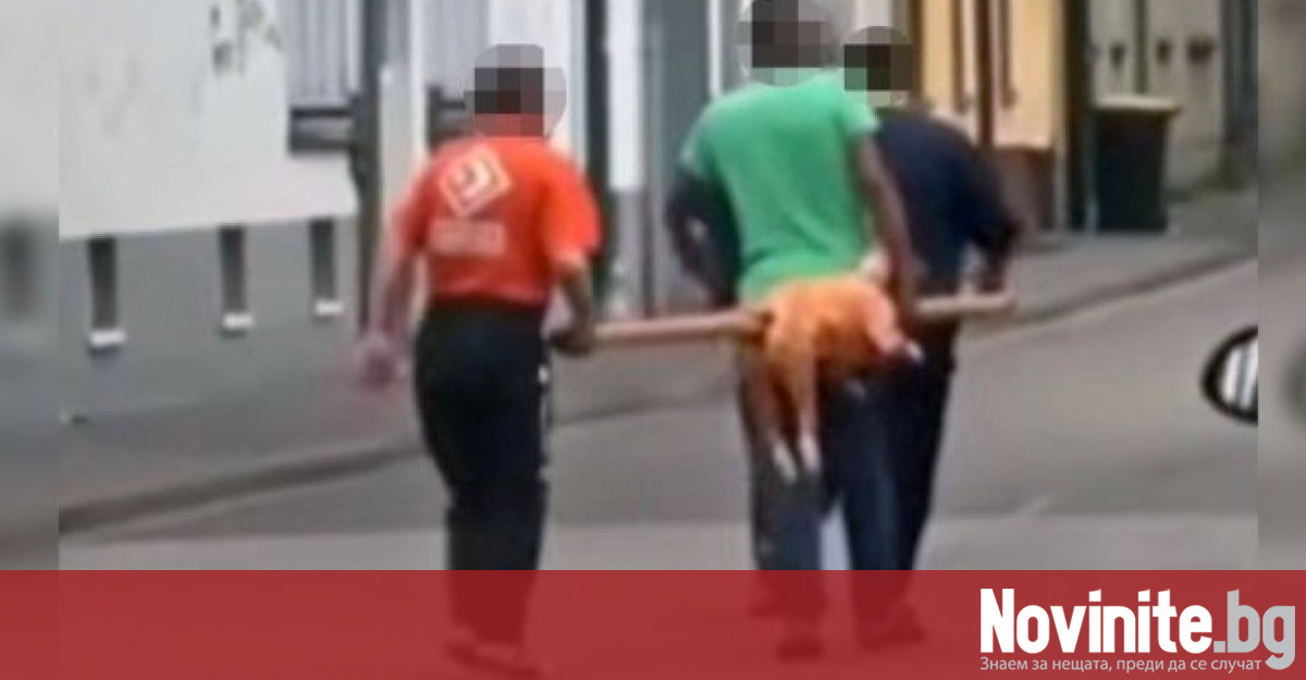 Полицията в германския град Нойкирхен води разследване срещу четирима мъже