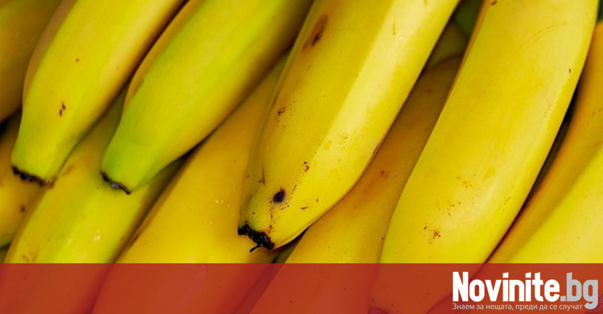 Бананите могат да станат социално значим продукт в Русия и