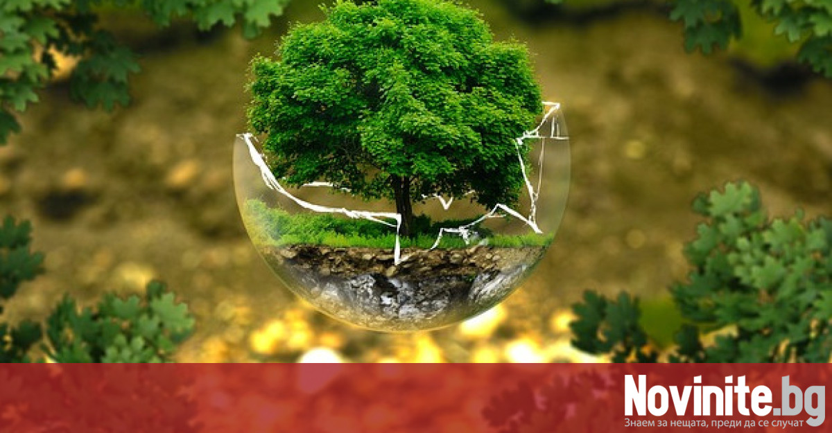 Световният ден на околната среда отбелязван на 5 юни всеки