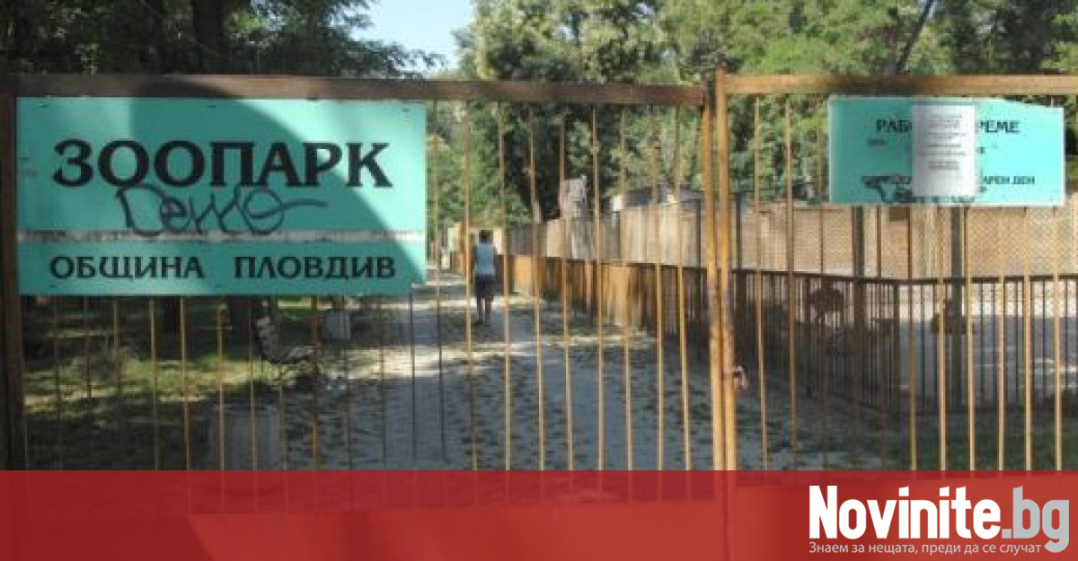 Превърналото се в сапунка довършване на зоопарка в Пловдив ще