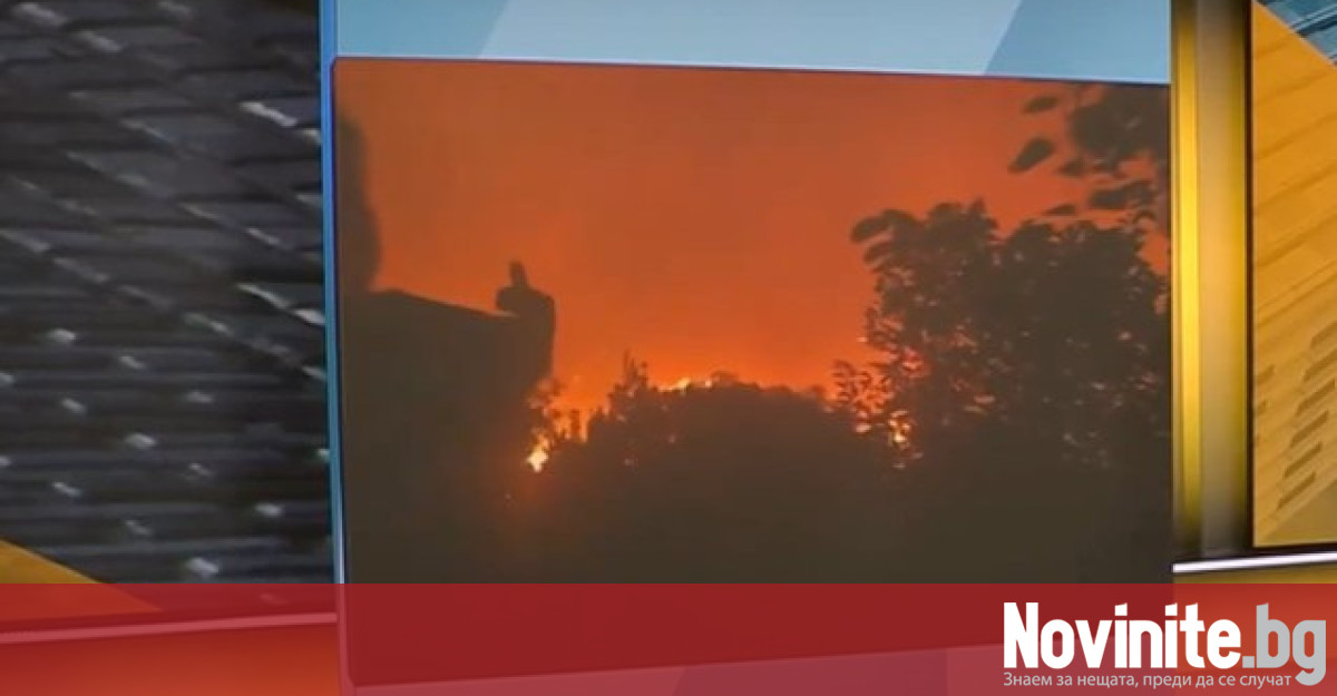 Огнената стихия продължава да бушува в Гърция докато пожарникарите продължават
