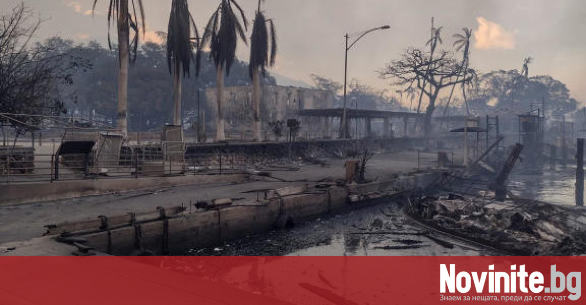 Поне 36 души загинаха след като горски пожари раздухани от
