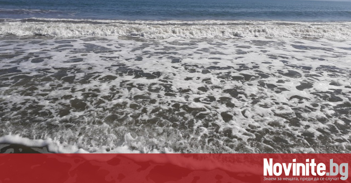 По повод спора за замърсената черноморска вода с ешерихия коли