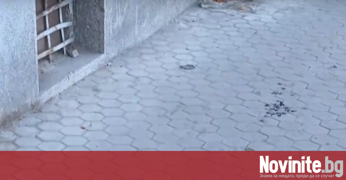 Парче мазилка е паднала от сграда в центъра на София